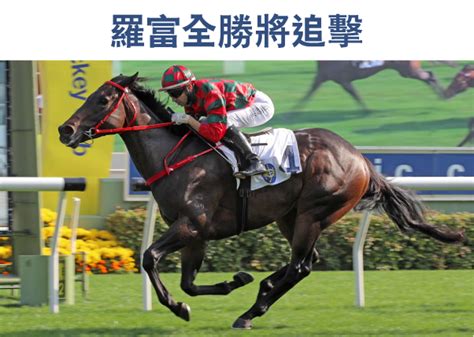 hkjc chinese|THE HONG KONG JOCKEY CLUB.